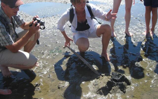 NORDSEE Bauernhof Familie Wulff