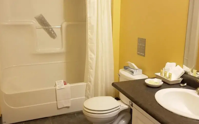 The Falls Inn - Walters Falls