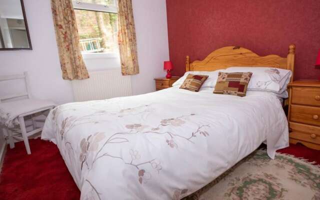 Teifi Lodge 3