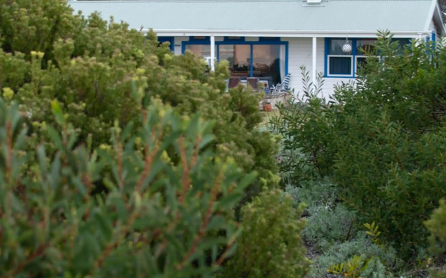 Polperro, a quintessential seaside experience