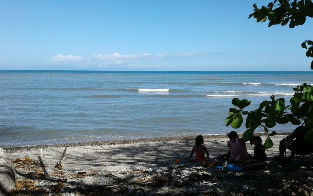 The Howler Monkey Hotel