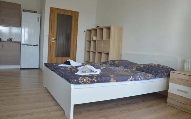 Lipno Riviéra - Myši v botě