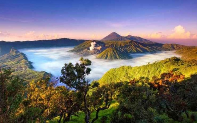 Homestay Ricky 2 Gunung Bromo