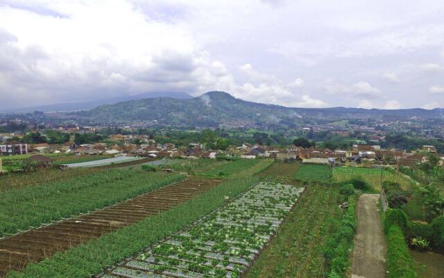 Vila Bunga Merah Gelatik