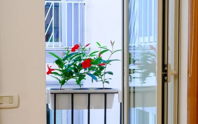 Niparè Suite