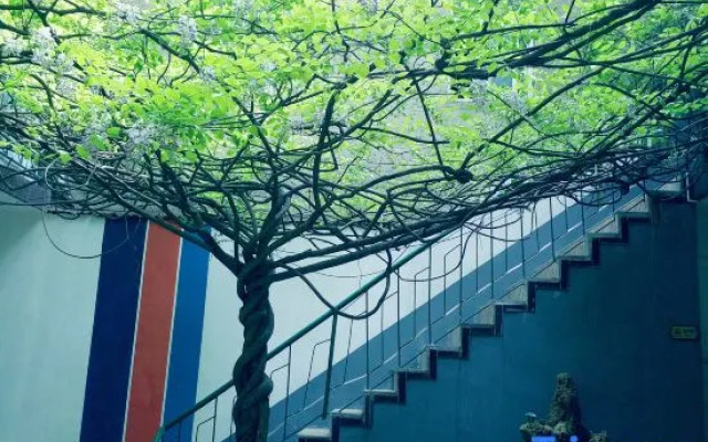Zhumadian street guest hotel