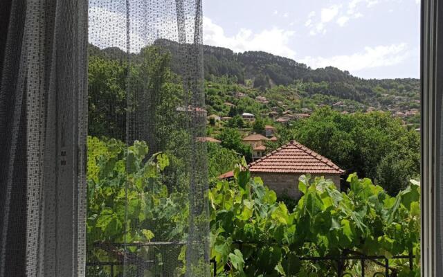 Elli΄S House Συγχρονο Σπιτι Στα Πραμαντα