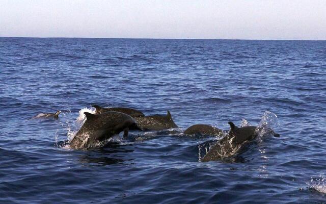 Hotelito Swiss Oasis - Adults Only