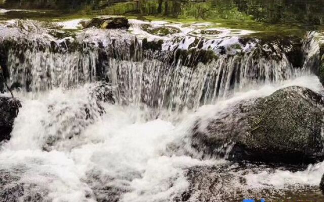 Tianmushan Old Lady Villa
