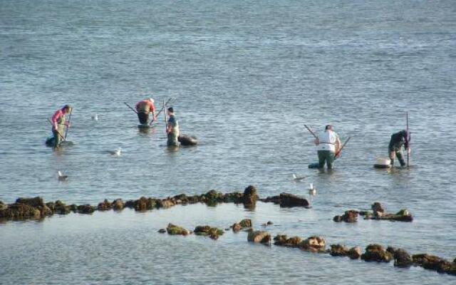 Apartamentos Casa Campaña 3000