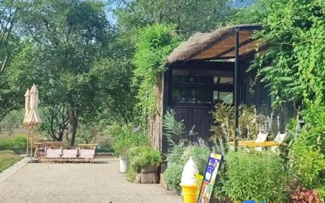 Joyful Transmission Hotel