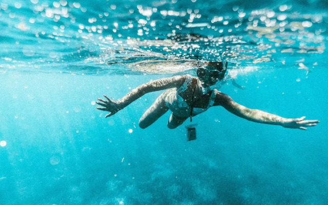 Turtle Inn by Francis Ford Coppola