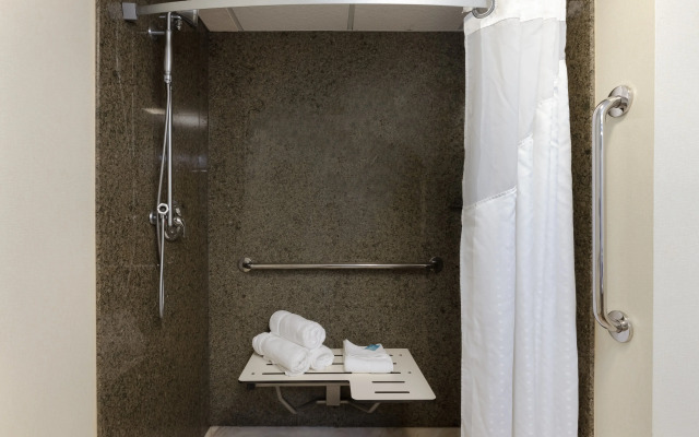 Holiday Inn Express and Suites Atlanta Downtown by IHG
