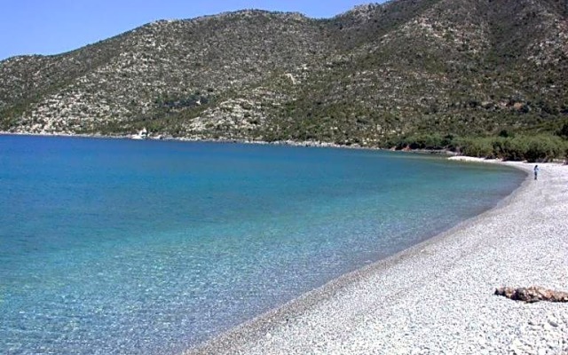Polichni