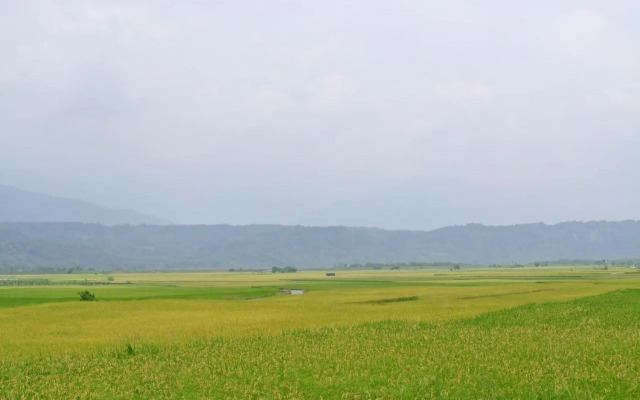 Pu Shi Homestay