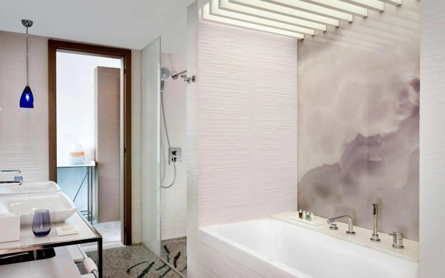 Autograph Collection Paragraph Resort & Spa Shekvetili