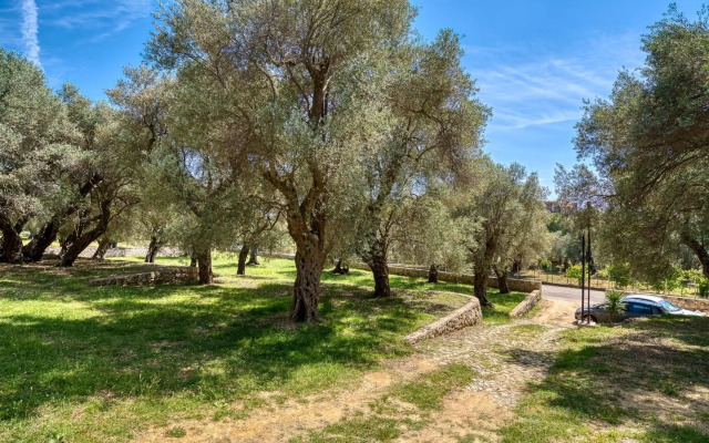 Stonehouse in Olives