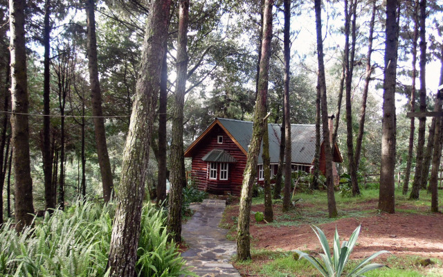 Cabañas El Rincón de Pancho
