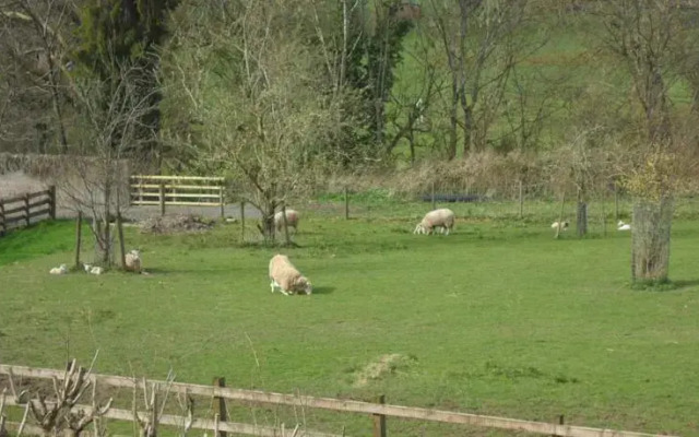 Newburn Farm