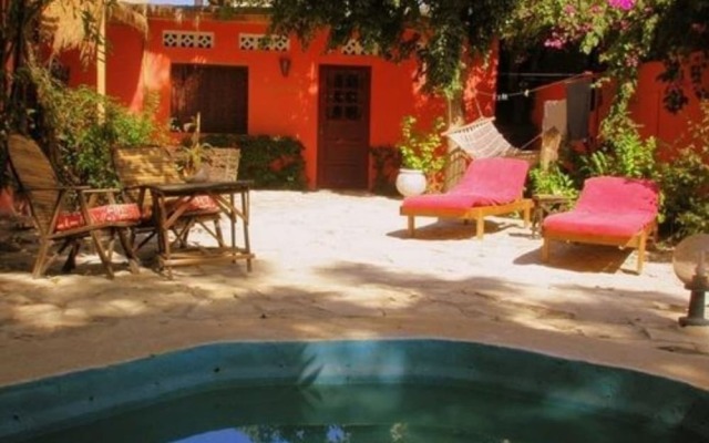 Baobab Belge