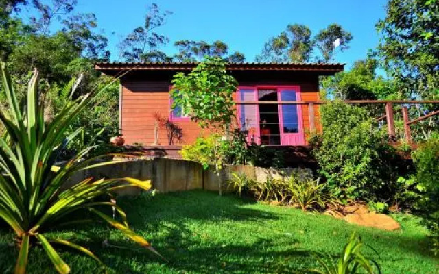 Wood Cabin into the Wild