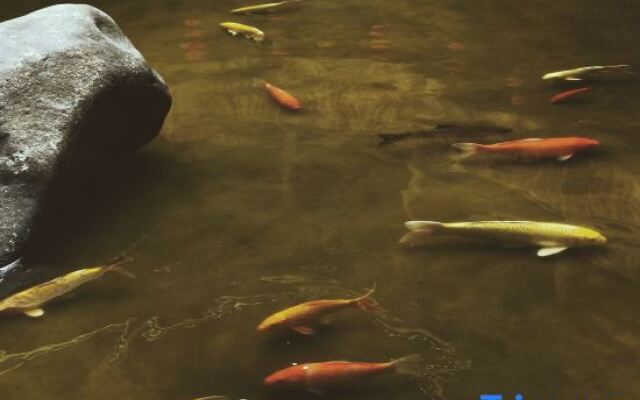 Yunshui Ruyi Travel And DL Tulou Culture B&B