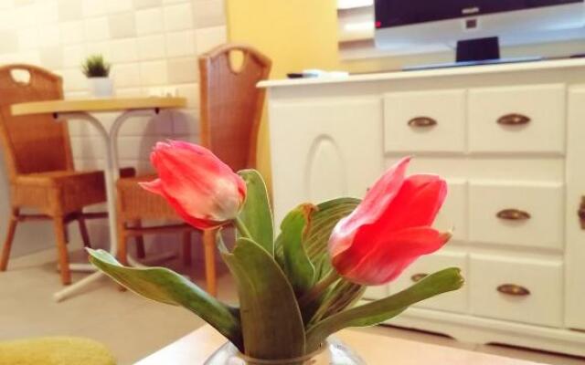 Apartmani Vrdnik