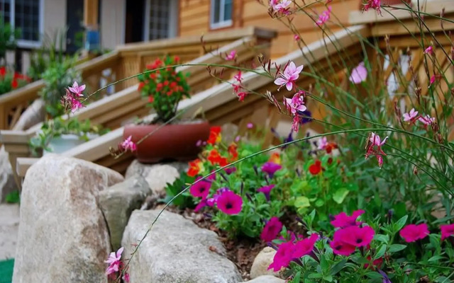 Pocheon Star Sky Pension