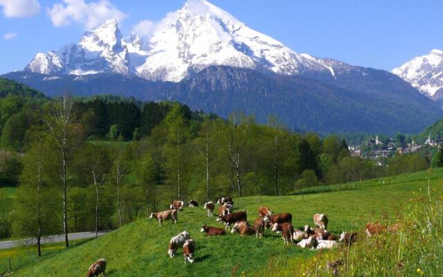 Ferienwohnungen Oberau