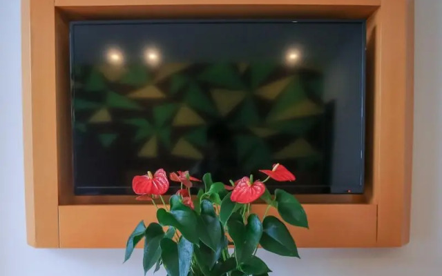 Vatica Hefei Feixi County Southwest Automobile Cit