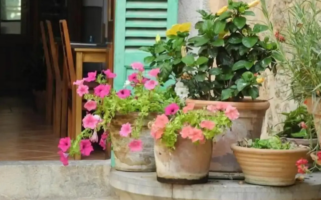 Hotel Casa Bougainvillea