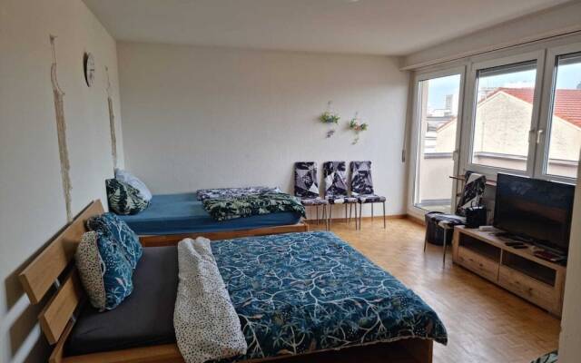 All the Apartment in Basel up to 7 People