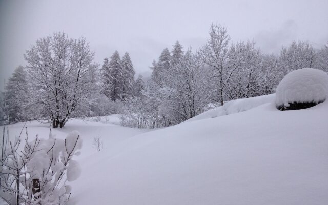 Maso Fior di Bosco