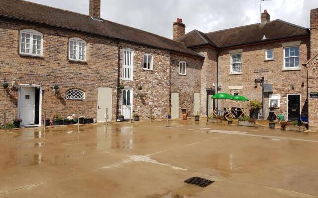 Willow Studio