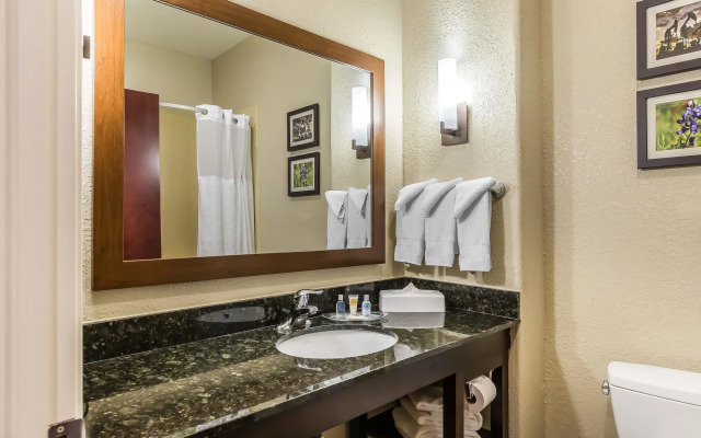 Comfort Suites Houston IAH Airport - Beltway 8