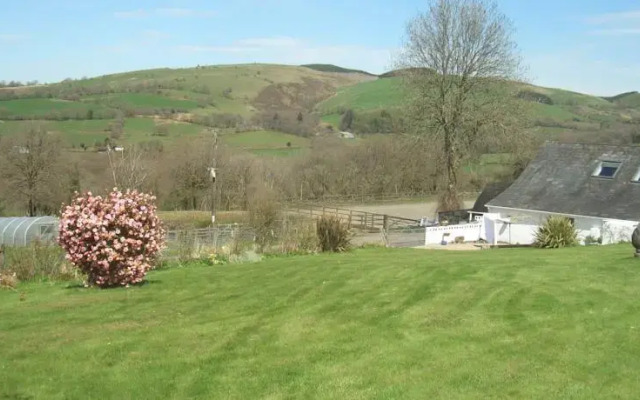 Gwarllwyn