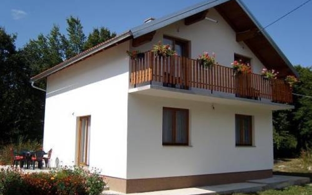 Galesic Apartments & Rooms