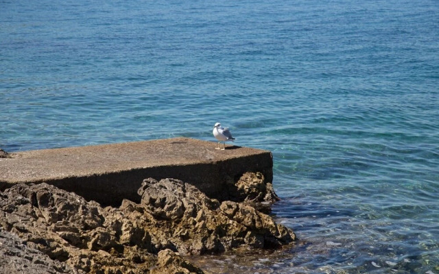 Sanda - 100 m From sea - A2