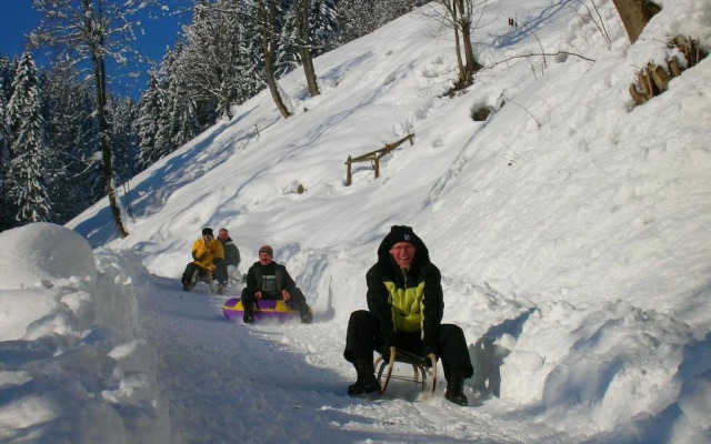 Palfnerhof Appartements