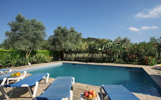 Finca La Vinya