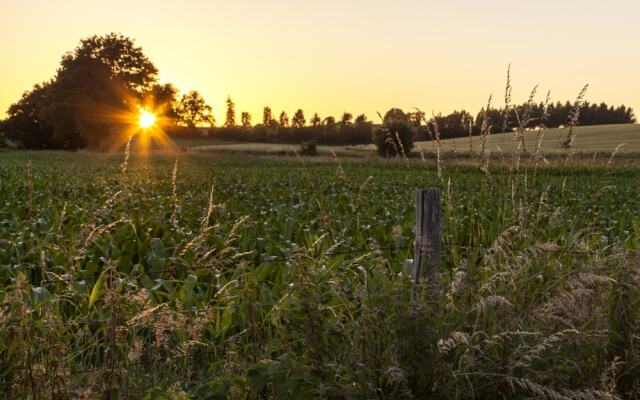 Les nuits safranées
