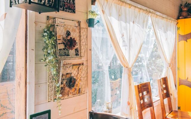 Nanzhuang Olive Tree