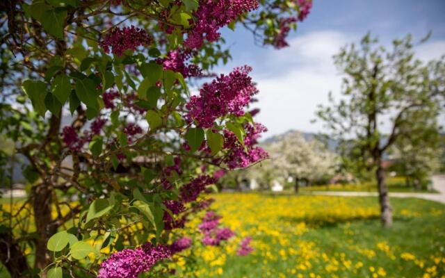 Haus Sonnblick Penthouse-Lodge