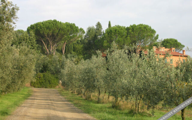 Tenuta San Vito