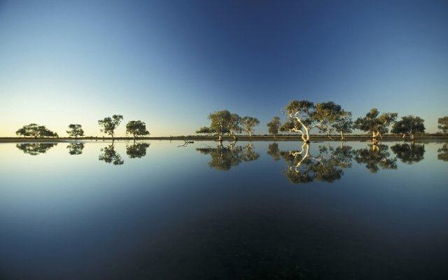 Wooleen Station