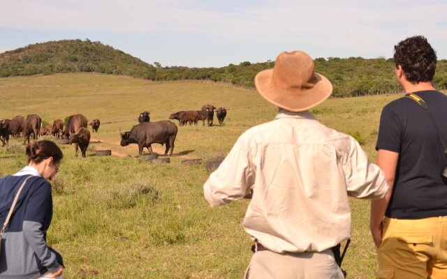 Elephants Lodge - Bellevue Forest Reserve