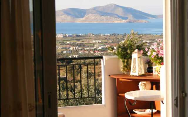 The Olive Branch Villa