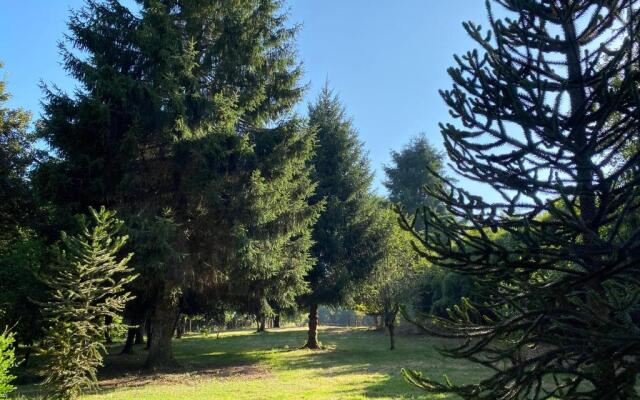 O Casal das Árbores