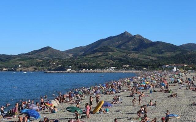 Appartement Argelès-sur-Mer, 2 pièces, 5 personnes - FR-1-225-249