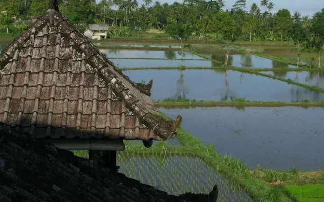 Swallow Guesthouse